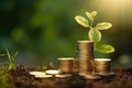 Investment concept, Coins stack growing on green background, business idea, Stacked gold coins on the grass and little plants Royalty Free Stock Photo