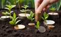 Investment concept, Coins with young plant growing from pile of coins Royalty Free Stock Photo