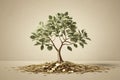 Investment concept, money tree growing from pile of coins Royalty Free Stock Photo