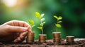 Investment concept, Planting tree on coins stack for growing business Royalty Free Stock Photo