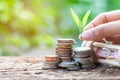 Close up hand putting leaf on stacking coins of growth