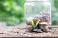 Investment and financial concept, Close up of stacking coins of growth