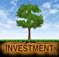 Investment and financial growth