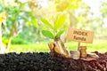 Investment on index funds concept. Coins in a jar with soil and growing plant in nature Royalty Free Stock Photo