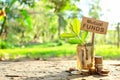 Investment on Mutual Funds concept. Coins in a jar with soil and growing plant in nature background. Royalty Free Stock Photo