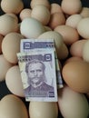 investment in organic egg with Honduran money for healthy food