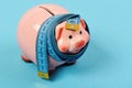 Investments and metering or counting idea. Piggy bank Royalty Free Stock Photo