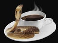 Invigorating coffee with a snake kiss.