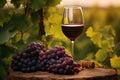 An invigorating composition featuring a glass of wine elegantly placed beside a cluster of fresh grapes, A glass of rich red wine Royalty Free Stock Photo