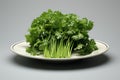 Invigorating Fresh parsley plate. Generate ai