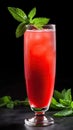 Invigorating tall glass of refreshing watermelon juice garnished with a sprig of fresh mint, a slice of juicy watermelon, and ice