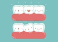 Invisible braces ,dental and tooth