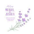 Invitation card with Lavender flowers.