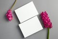 Invitation card mockup, front and back sides with spring hyacinth flowers on grey Royalty Free Stock Photo