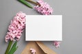 Invitation card mockup with pink hyacinth flowers on grey background Royalty Free Stock Photo