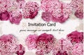Invitation card with rose flowers and delicate lace decor. Vector