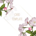 Invitation cards with beautiful spring charry blossom flowers Royalty Free Stock Photo