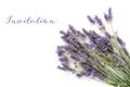 An invitation or greeting card design template with a bouquet of blooming lavender flowers on a white background