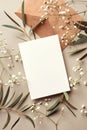 Invitation or greeting card mockup with envelope, eucalyptus and gypsophila twigs. Card mockup with copy space.