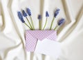 Invitation or greeting card mockup with envelope, muscari flowers. Blank card mockup on white folded background. Royalty Free Stock Photo