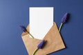 Invitation or greeting card mockup with envelope and spring blue muscari flowers Royalty Free Stock Photo