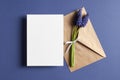 Invitation or greeting card mockup with envelope and spring blue muscari flowers Royalty Free Stock Photo