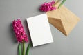 Invitation or greeting card mockup with envelope and spring hyacinth flowers on grey paper background Royalty Free Stock Photo