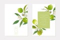 Invitation wedding lime vector card, vintage Save the Date, template design of limes, citrus fruit, flowers and leaves