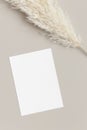 Invitation white card mockup with a pampas grass decoration. 5x7 ratio, similar to A6, A5