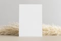 Invitation white card mockup with a pampas grass decoration. 5x7 ratio, similar to A6, A5 Royalty Free Stock Photo