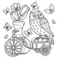 Owl on a small bike, a vase with tulips and butterflies