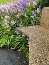 Inviting bench in the park