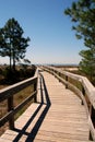 Inviting boardwalk to beach Royalty Free Stock Photo