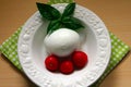 Buffalo mozzarella with basil and tomatoes Royalty Free Stock Photo