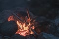 Inviting campfire on the beach during the summer Royalty Free Stock Photo