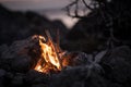 Inviting campfire on the beach during the summer Royalty Free Stock Photo