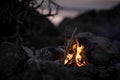 Inviting campfire on the beach during the summer Royalty Free Stock Photo
