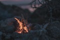 Inviting campfire on the beach during the summer Royalty Free Stock Photo