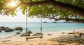 Empty Wooden Swing Hanging from a Large Tree Branch Overlooking a Tropical Beach and Turquoise Ocean Royalty Free Stock Photo