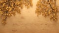 inviting golden birch backdrop for cozy designs. ai generate Royalty Free Stock Photo