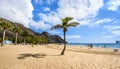 Inviting golden Playa de Las Teresitas beach with palm tree against blue sky, Tenerife, Canary Islands Royalty Free Stock Photo