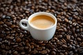 hot coffee cup on coffee beans Royalty Free Stock Photo