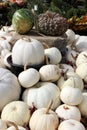 Varied assortment of colorful Fall gourds and pumpkins on display at market