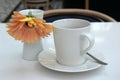 Inviting scene with simple white coffee cup and saucer, single flower as a welcome to morning