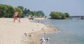 Inviting view on center island, lake Ontario beautiful beach with people relaxing swimming and enjoying their time
