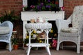 Inviting wicker chairs, flowers and tea set on table at one apartment, Oneida Community Mansion House, Oneida, New York, 2018