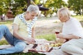 Involved retired couple playing chess in the park Royalty Free Stock Photo