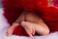 Tiny legs, feet and toes of newborn baby girl wearing red or crimson fluffy skirt made of tulle Royalty Free Stock Photo