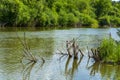 Inya river, Kemerovo region, Kuzbass Royalty Free Stock Photo