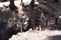 The Inyo Earthquake Fault in Mammoth Lakes California, female explores the area, showing the scale of the fault line